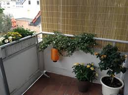 Sichtschutz balkon seitlich bei lionshome: Seitlicher Sichtschutz Am Balkon Selbst Community