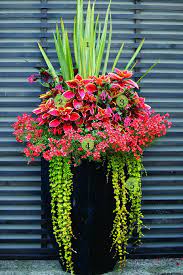 Container Gardening Flowers