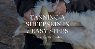 tanning a sheepskin in 7 easy steps a