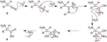 Strecker Amino Acid Synthesis Wikipedia