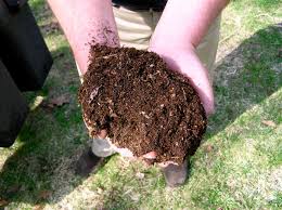 learn more about soil vs other growing ums