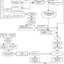 Flow Chart Reporting Step By Step The Procedure Used To
