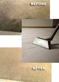 carpet cleaning grand blanc mi