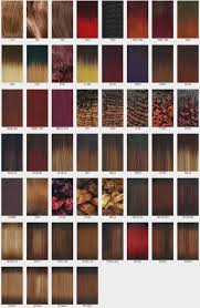 Simplefootage Clairol Professional Hair Color Chart