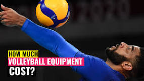 Image result for Volleyball Prices In South Africa