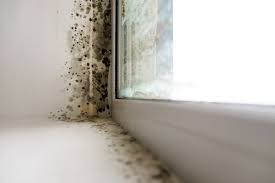 how to clean mold from window sills