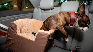5 Best Dog Car Seats 2022 Guide