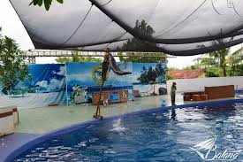 This is a beatiful beach. Liburan Ke Jateng Lihat Atraksi Lumba Lumba Di Batang Dolphins Center Yuk Okezone Travel