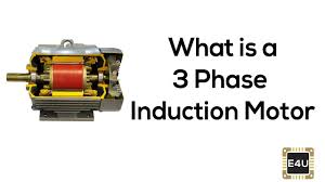 3 phase induction motor construction