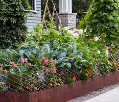 Small Vegetable Garden Ideas Garden Gate