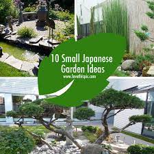10 Small Japanese Garden Ideas