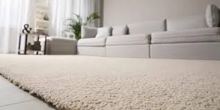 natural carpet deodorizer