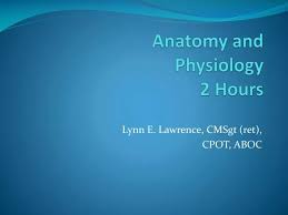 ppt anatomy and physiology 2 hours