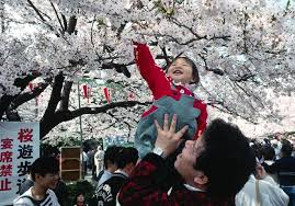 Bunga sakura adalah simbol dari negara jepang dan juga bunga keramat bagi orang jepang. Falsafah Sakura Dalam Masyarakat Jepun The Patriots
