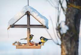 une mangeoire pour les oiseaux
