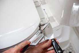 How To Remove Or Replace A Toilet Seat