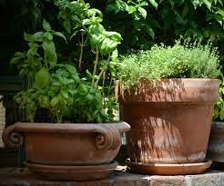 Cleaning Clay Pots How To Clean