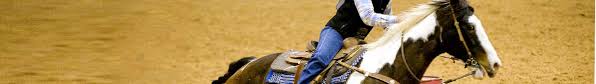 National Finals Rodeo Nfr Tickets Vivid Seats