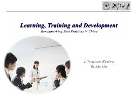 Training and development in the fast food industry        Chapter Two  Literature Review     