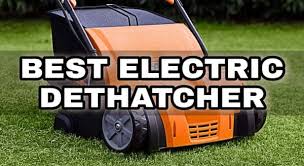 You will be really satisfied with the activity too. 10 Best Electric Dethatcher In 2021 Gardening Brain