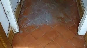 quarry tile stone floor cleaning in