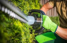 the 10 best cordless hedge trimmers in