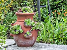 How To Plant Strawberry Pots