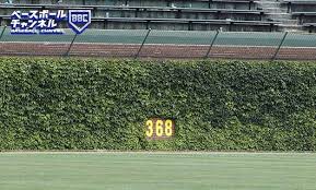 MLB】カブス、外野フェンスのツタの葉を約2万円で限定販売 108年ぶり世界一の記念品 | ベースボールチャンネル