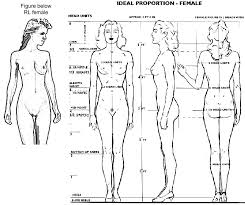 Female Body Shape Drawing At Getdrawings Com Free For