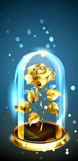 gold rose rose gold sparkle hd