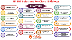 ncert solutions for cl 11 biology