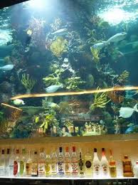 Fish Tank At The Chart House Picture Of Chart House Las