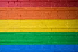 rainbow brick wall by stocksy