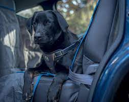 Dog Car Safety Harness