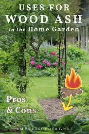 using wood ash in the garden pros
