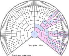 11 Best Dna Charts Images Dna X Chromosome Dna Genealogy