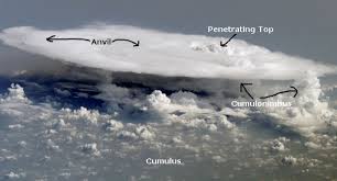Image result for single cell thunderstorm