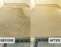 carpet cleaning buffalo mn brown s