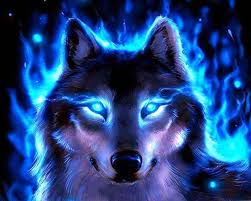 Brown and black wolf digital wallpaper, artwork, planet, space. Cool Red And Blue Wolf Wallpaper