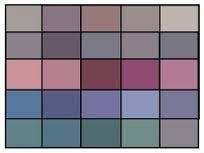 Image Result For Dressing Your Truth Type 2 Color Chart