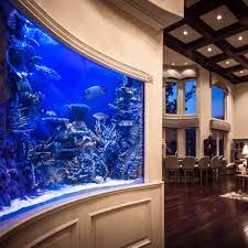 Custom Aquarium Design & Installation | Infinity Aquariums gambar png