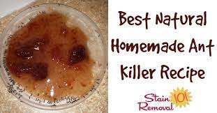 best natural homemade ant recipe
