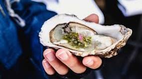 Are oysters good for weight loss?