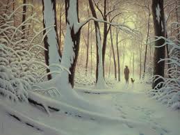 Image result for winter woods