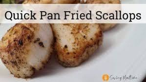 quick pan fried scallops saving mealtime