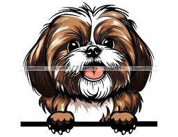 Shih Tzu Smiling King Dog Cute Puppy