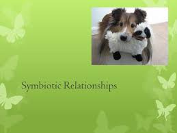 Day     Character Relationships via Symbiotic Classifications   A     Buzzle Upload your own papers  Earn money and win an iPhone   
