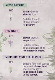 the indoor grower s guide to