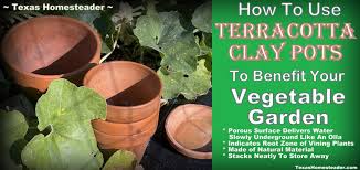 terracotta clay pots water garden