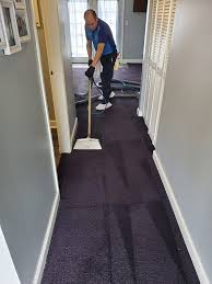 carpet cleaning glencoe il unique